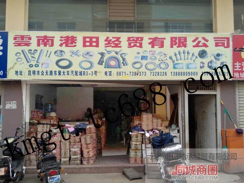 斯太尔主销轴承